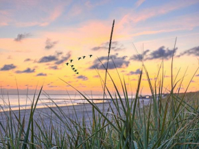 Ferienwohnung Strandkörbchen Breege